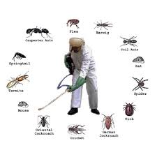 Household Pest Control