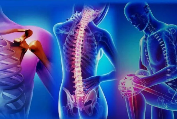 Knee and Spine Disorders