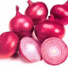 Ellora China King (Rainy Season) — Yogesh Onion Seeds