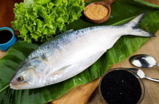 Fresh Water Fish Delivery — C VIBES MULTI VENTURE LLP