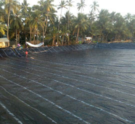 Agricultural Pond liners — Hariom Flexipack Industries