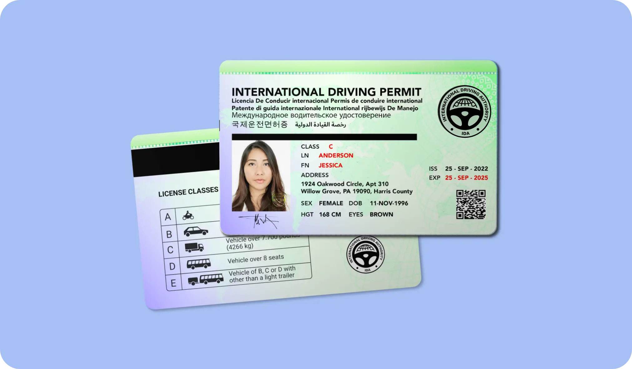 International Driving Permit (IDP) — Shree Sadguru RTO Services