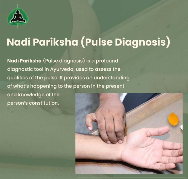 🌿 Ayurvedic Diagnosis & Nadi Pariksha — SIAM Sannidhya Institute of Ayurved Medicine