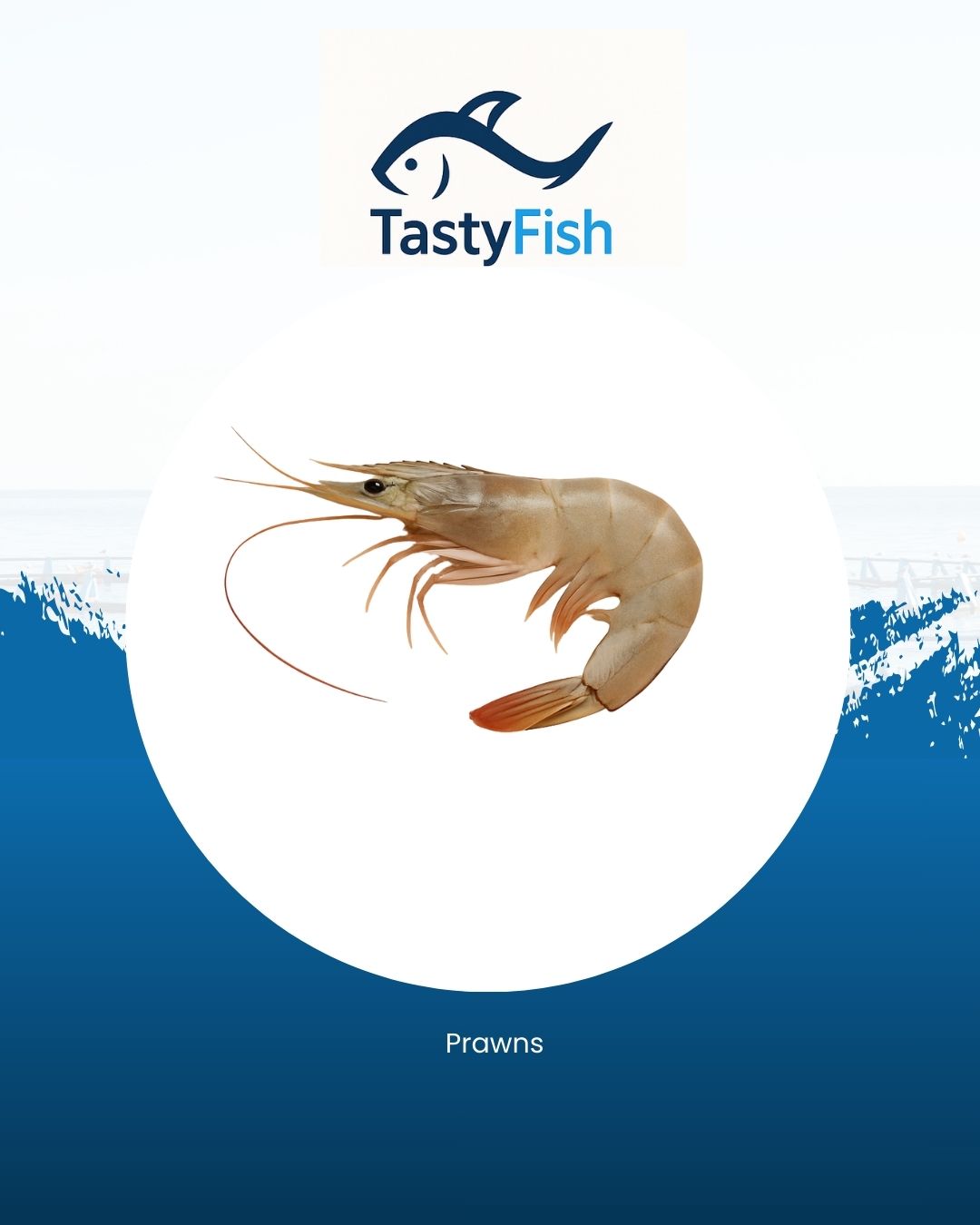Prawns